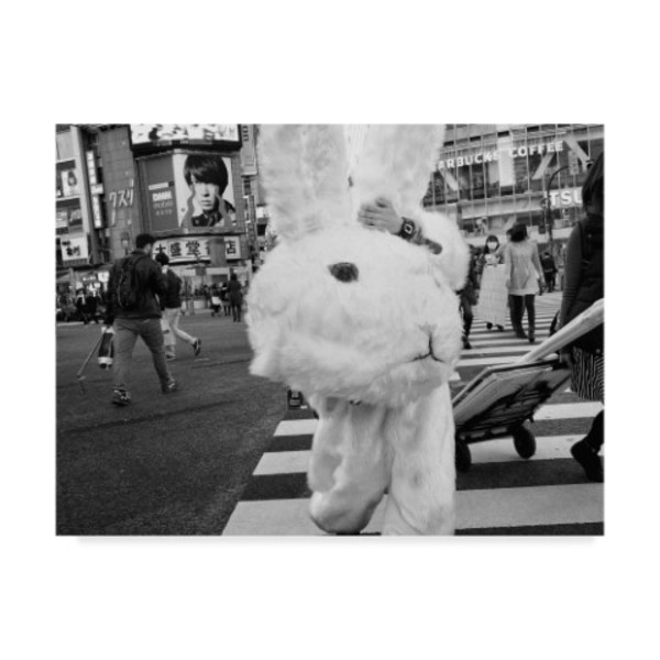 Trademark Fine Art Tatsuo Suzuki 'The Bunny Suit' Canvas Art, 35x47 1X07749-C3547GG